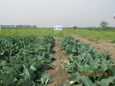 20140514164503_3162
