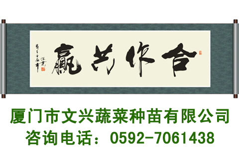 便农新举措：文兴种子上架阿里店铺 记文兴种苗拓展互联网平台
