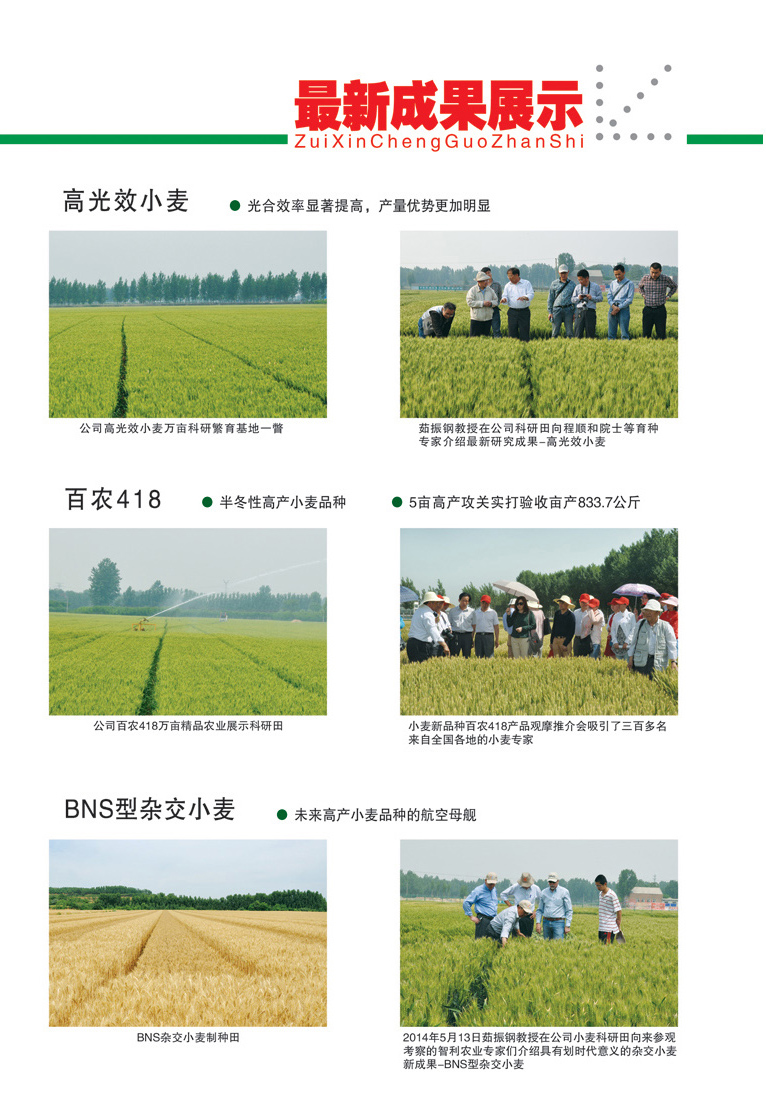 新品种展示