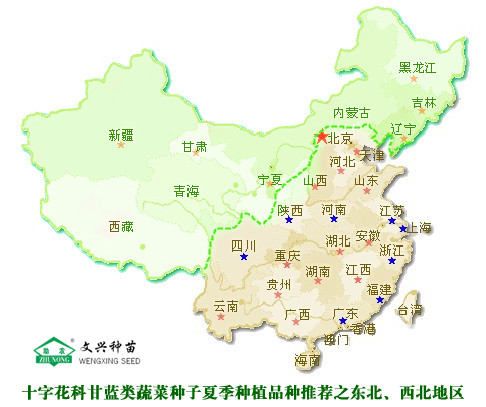 十字花科甘蓝类蔬菜种子夏季种植品种推荐之东北、西北地区