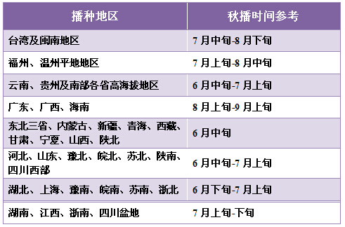 青梗松花菜55天播种时间图片正能松55日