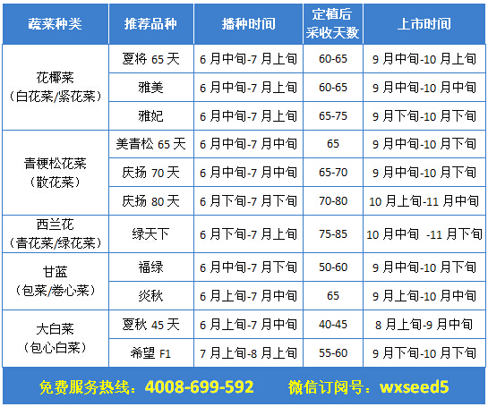 山东省十字花科蔬菜（松花菜、西兰花等）6-7月主栽品种推荐