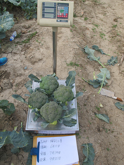 20160518163347_8498