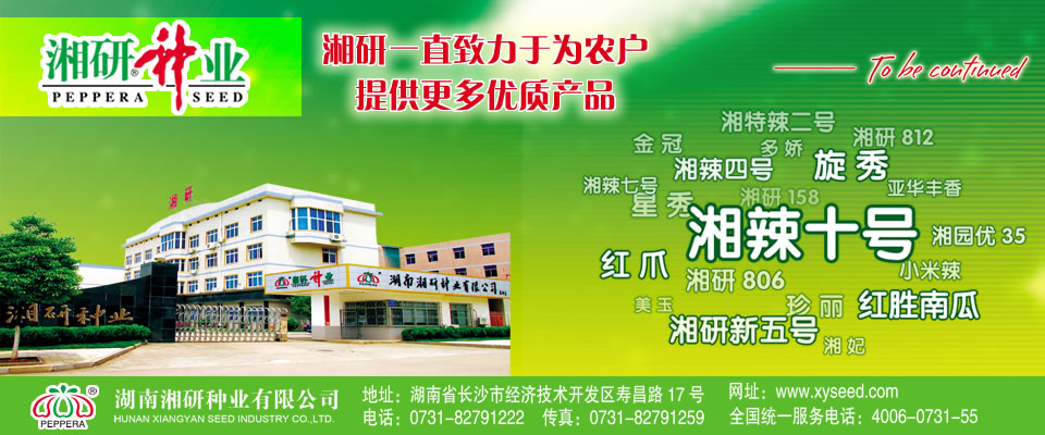 湖南湘研种业有限公司