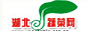 湖北蔬菜网
