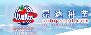 武汉昂达种苗