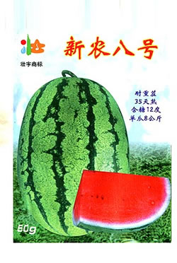 ��ũ�˺�