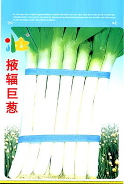 Ҵ���޴�