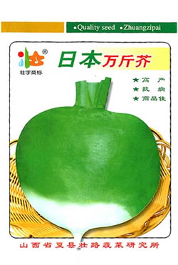 �ձ�����