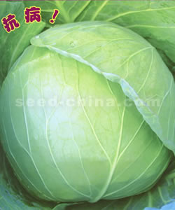 ǿ�ߴ�����