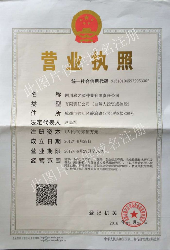 点击查看大图