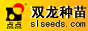 双龙种苗