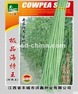 极品海特王