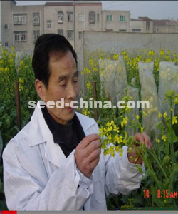 油201 鄂审油2006005