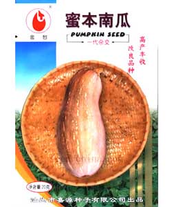 蜜本南瓜