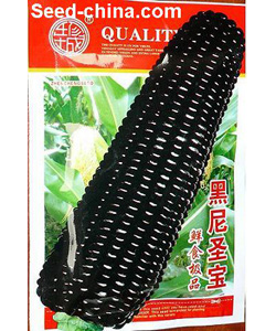 黑玉米－黑尼圣宝