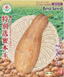 特别选蜜本南瓜