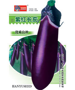 紫红茄文