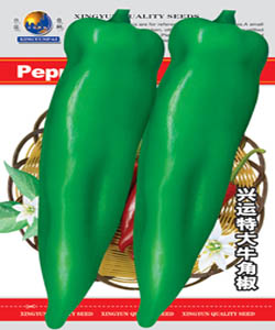 牛角椒--辣椒