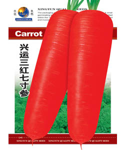 三红七寸参--胡萝卜