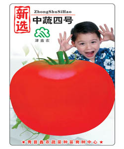 中蔬四号番茄--粉果