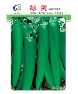 绿剑_焚寂剑等七大凶剑_古剑奇谭焚寂剑