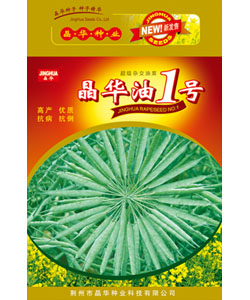 晶华油菜一号