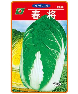 春将