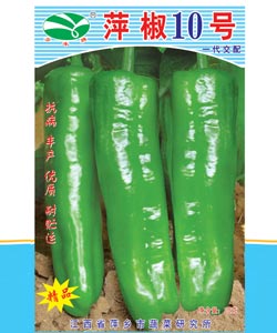 萍椒10号