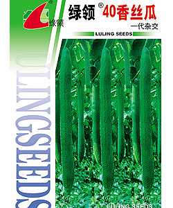 40香丝瓜