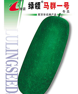 马群一号
