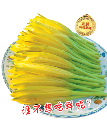 宜男生津菜