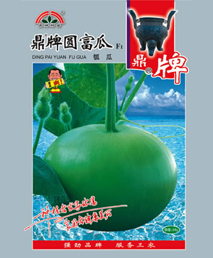 圆富瓜