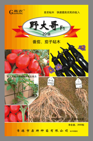 野大哥