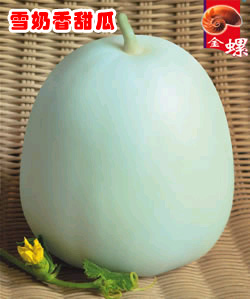 雪奶香甜瓜