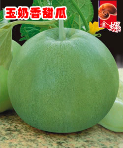 玉奶香甜瓜