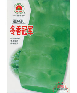 冬香冠军