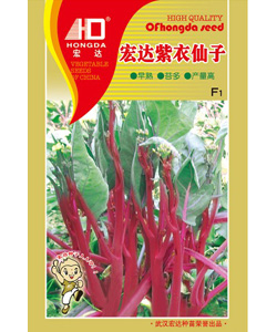 宏达紫衣仙子