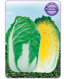 CR甜脆
