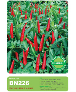 BN226