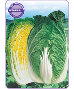 早春王