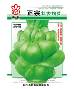 正宗特大榨菜