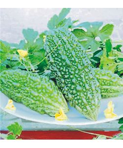 黑珍珠
