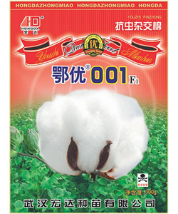 杂交抗虫棉－鄂优００１
