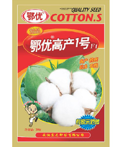 鄂优高产一号
