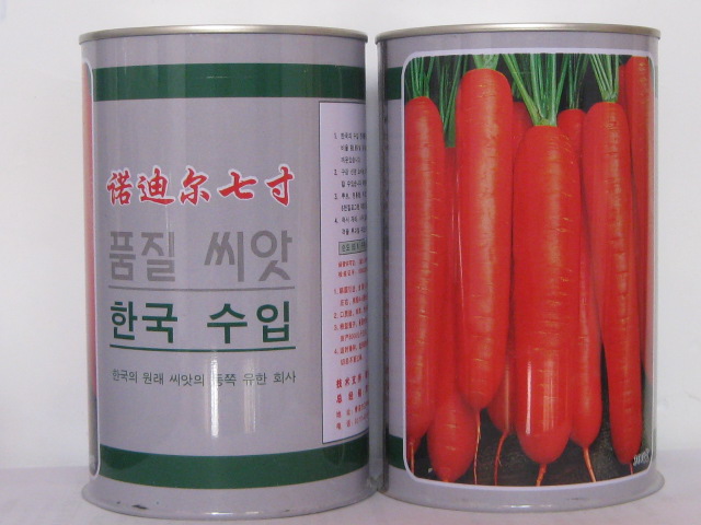 供应韩国引进优质胡萝卜种子诺迪尔七寸