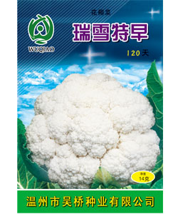 瑞雪特早120天