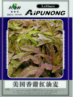 美國香甜紅油麥——葉菜類