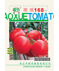 雄风168