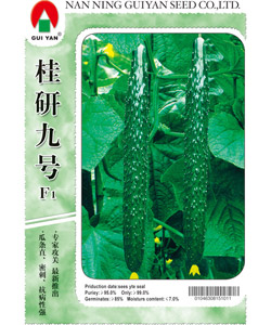 桂研九号黄瓜